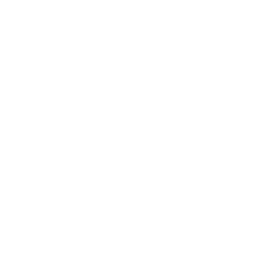 Heart with a small star icon