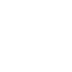 Network nodes connected by lines icon representing experience