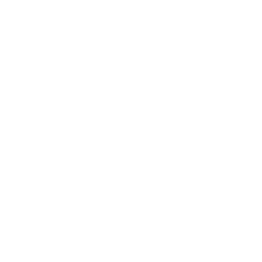 Megaphone icon